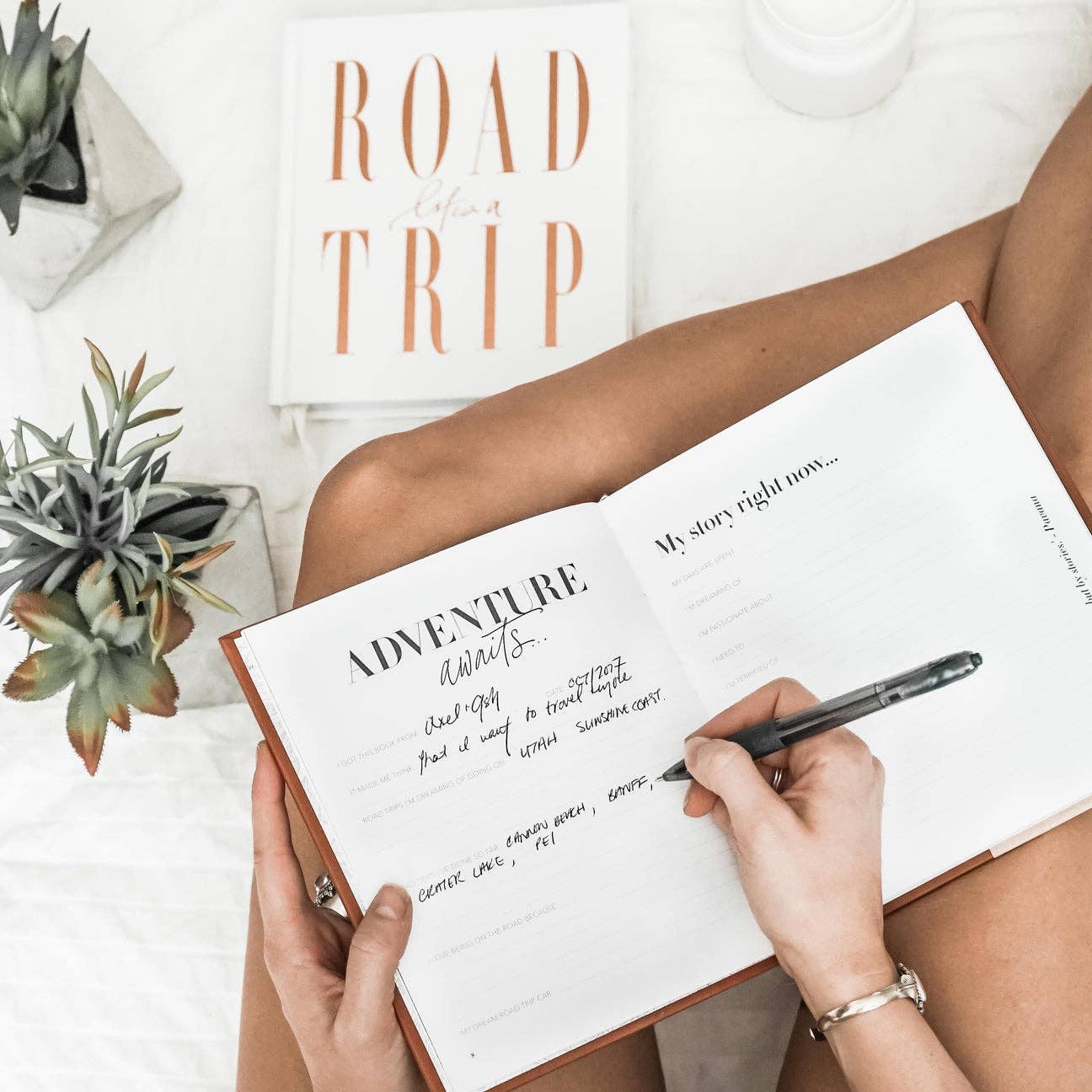 Life’s a Road Trip Journal: Tan
